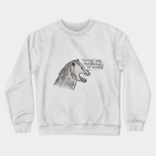 Existential Possum Crewneck Sweatshirt